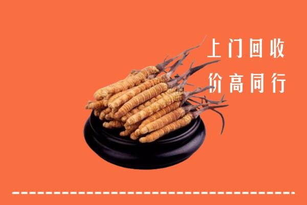 高价求购：法库县回收散虫草