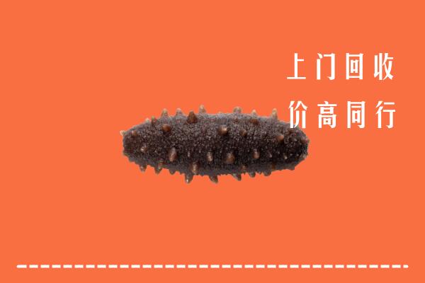 法库县回收海参